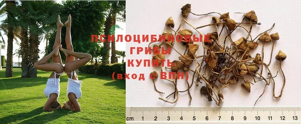 дурь Алзамай