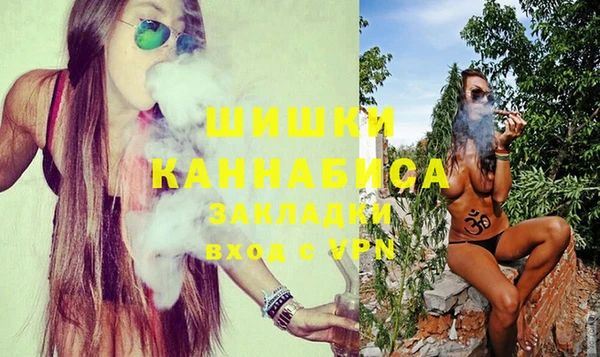 прущие грибы Надым