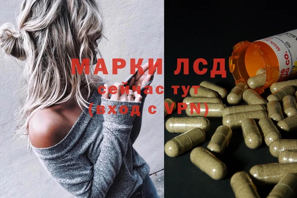 прущие грибы Алексеевка