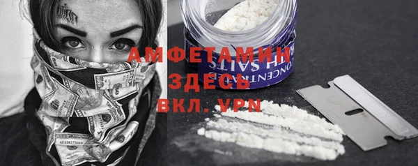 прущие грибы Алексеевка