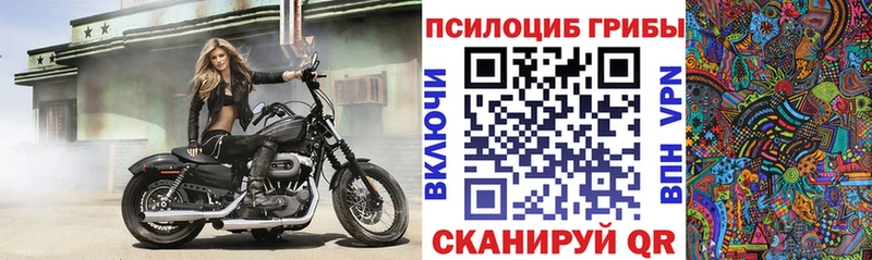 Галлюциногенные грибы мицелий  купить наркотики сайты  Ростов-на-Дону 